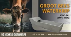 Groot bees waterkrip 660 kg | De Meyer Betonwerke