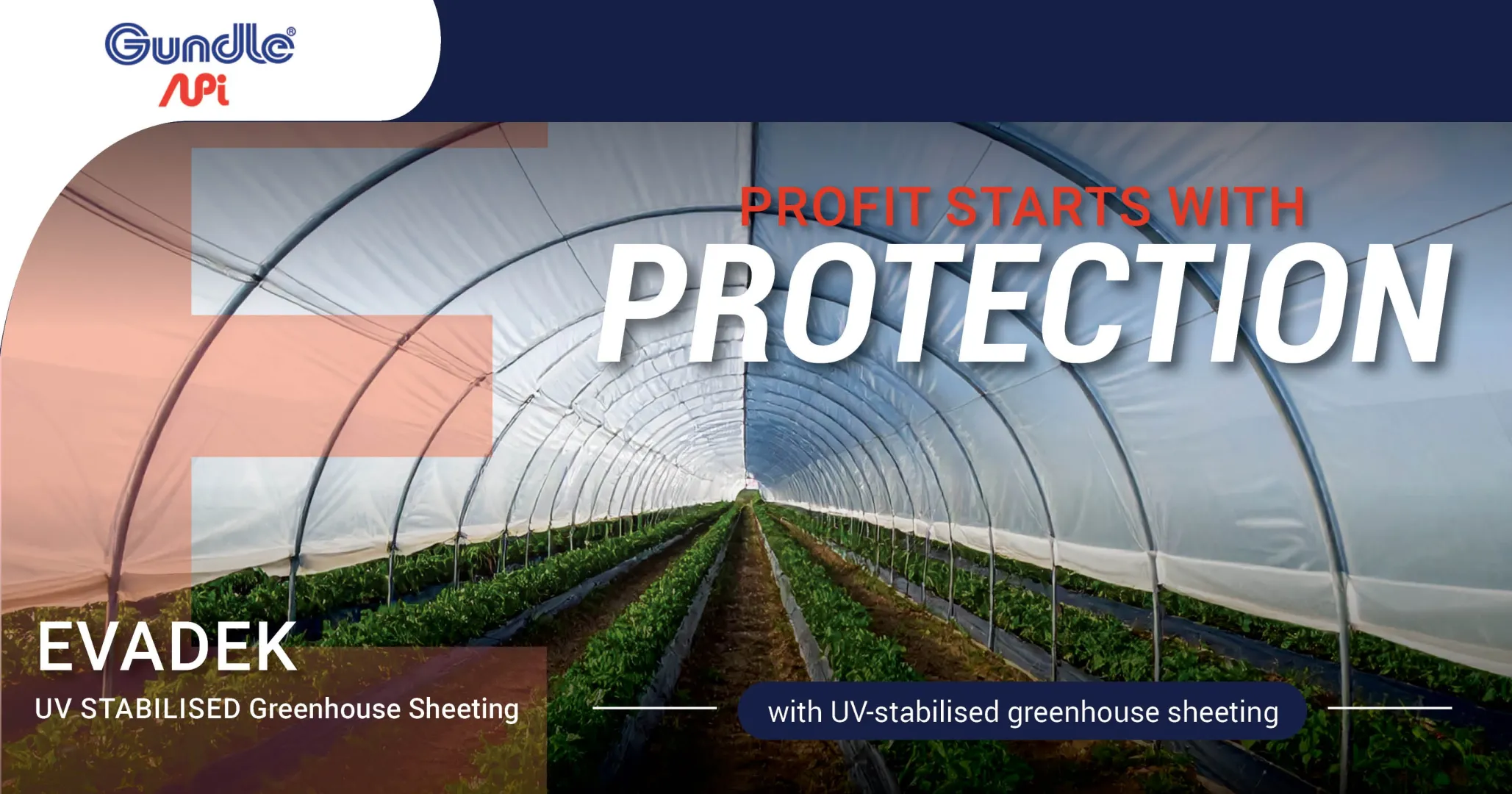 Greenhouse film | Evadek | Gundle®