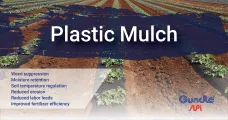 Plastic mulch | Gundle®