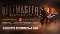 Beefmaster 27ste Nasionale Veiling | 2 Julie 2026 | Afridome, Parys