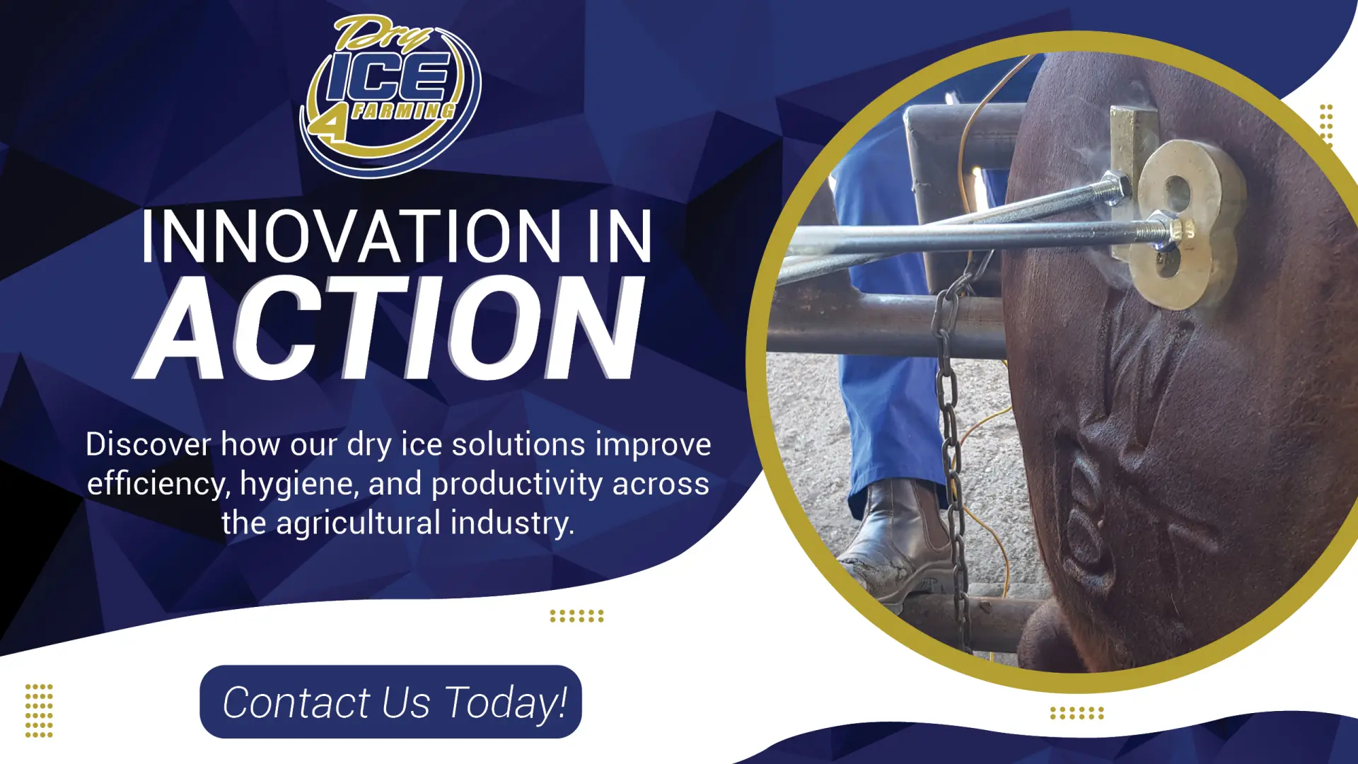 Innovation In Action | Dry ICE 4 Farming