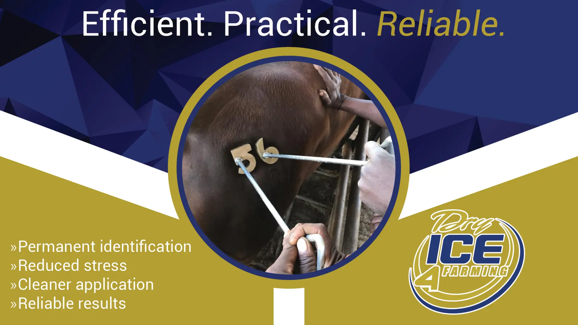 Efficient. Practical. Reliable. | Dry ICE 4 Farming