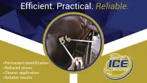Efficient. Practical. Reliable. | Dry ICE 4 Farming