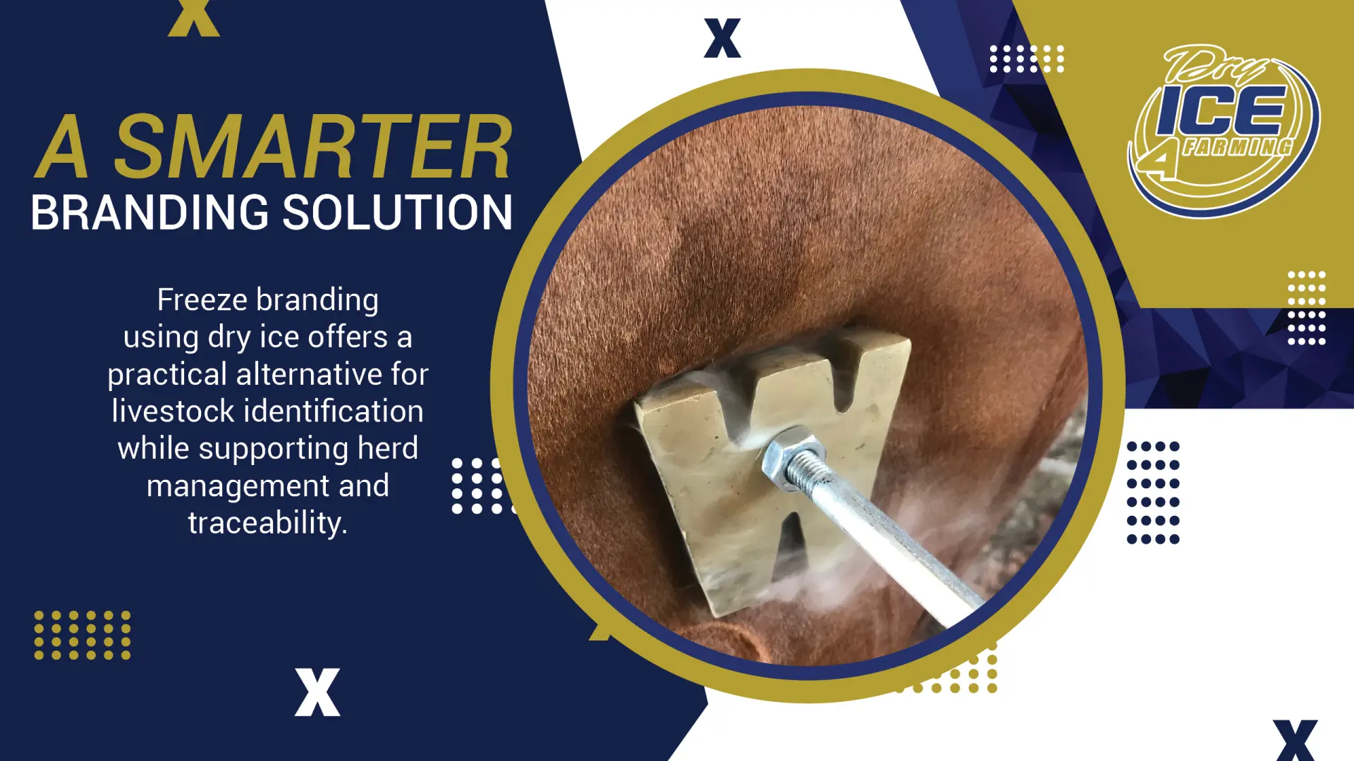 A Smarter Branding Solution | Dry ICE 4 Farming