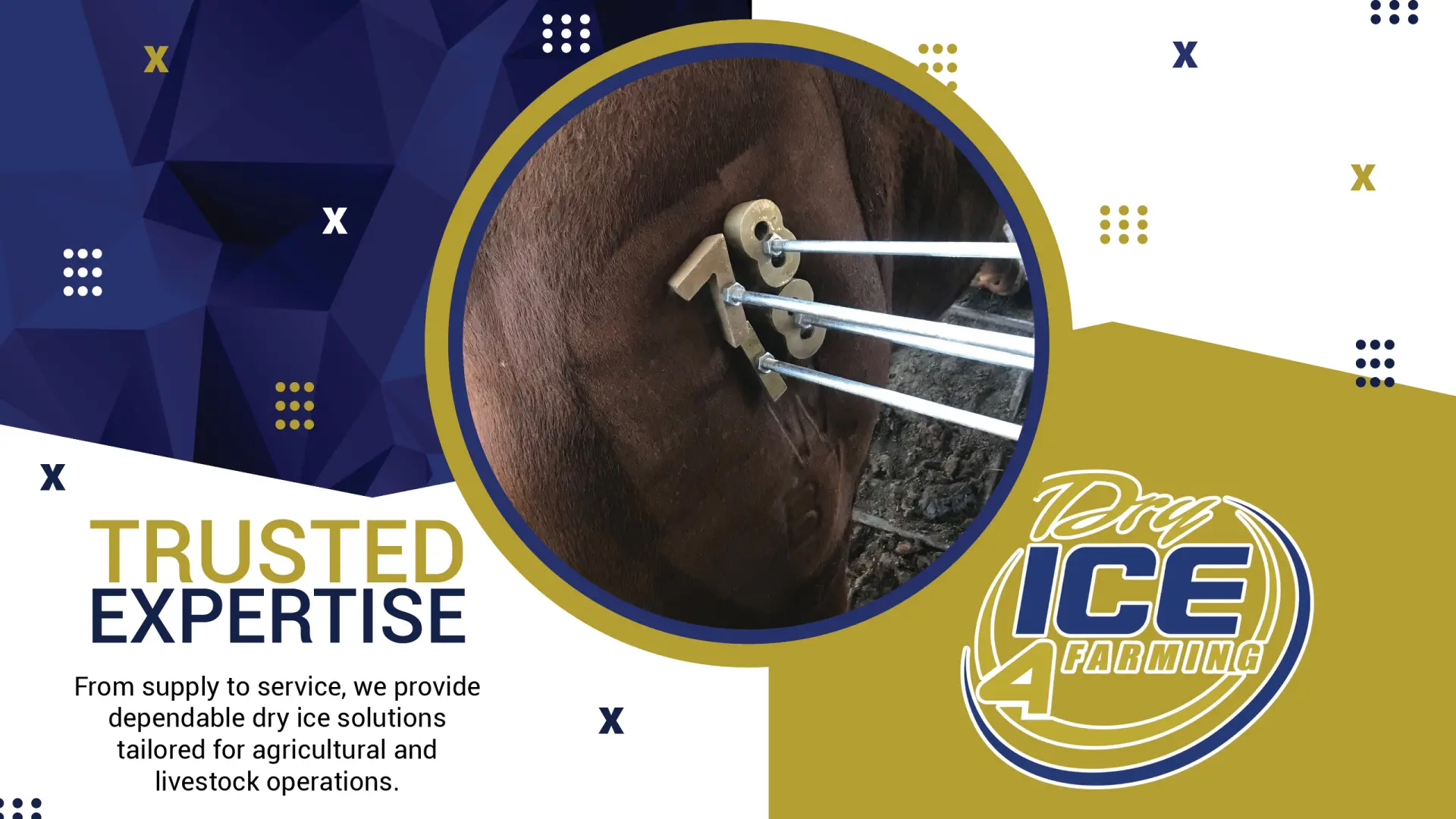 Trusted Expertise | Dry ICE 4 Farming