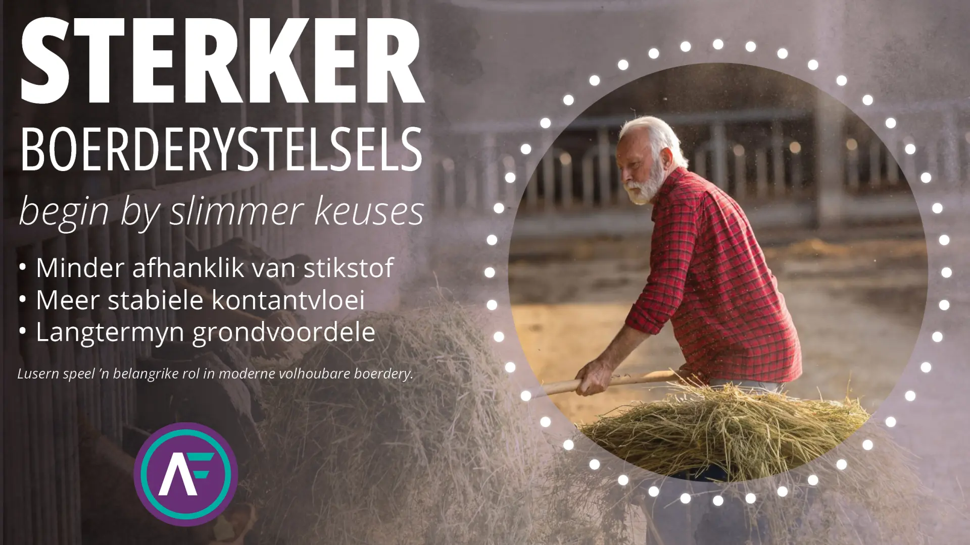 Lusern ondersteun sterker boerderystelsels met volhoubare voordele vir grond en kontantvloei | AgroFors