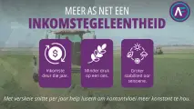 Met verskeie snitte per jaar help lusern om kontantvloei meer konstant te hou | AgroFors