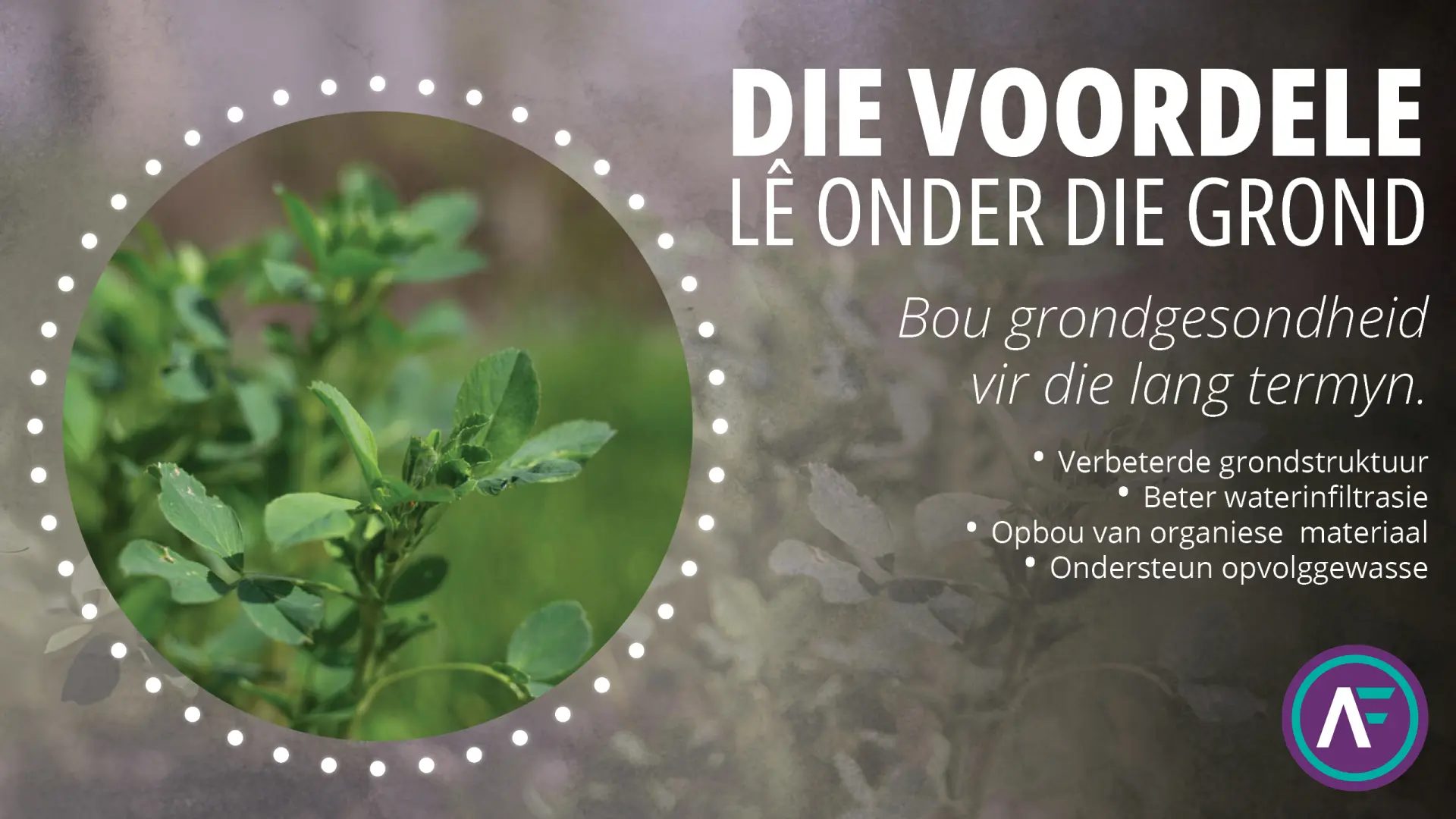 Die voordele lê onder die grond | Bou grondgesondheid vir die lang termyn | AgroFors