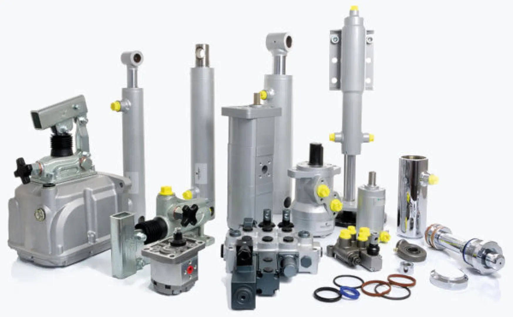 Contarini Leopoldo | Interpump Hydraulics South Africa