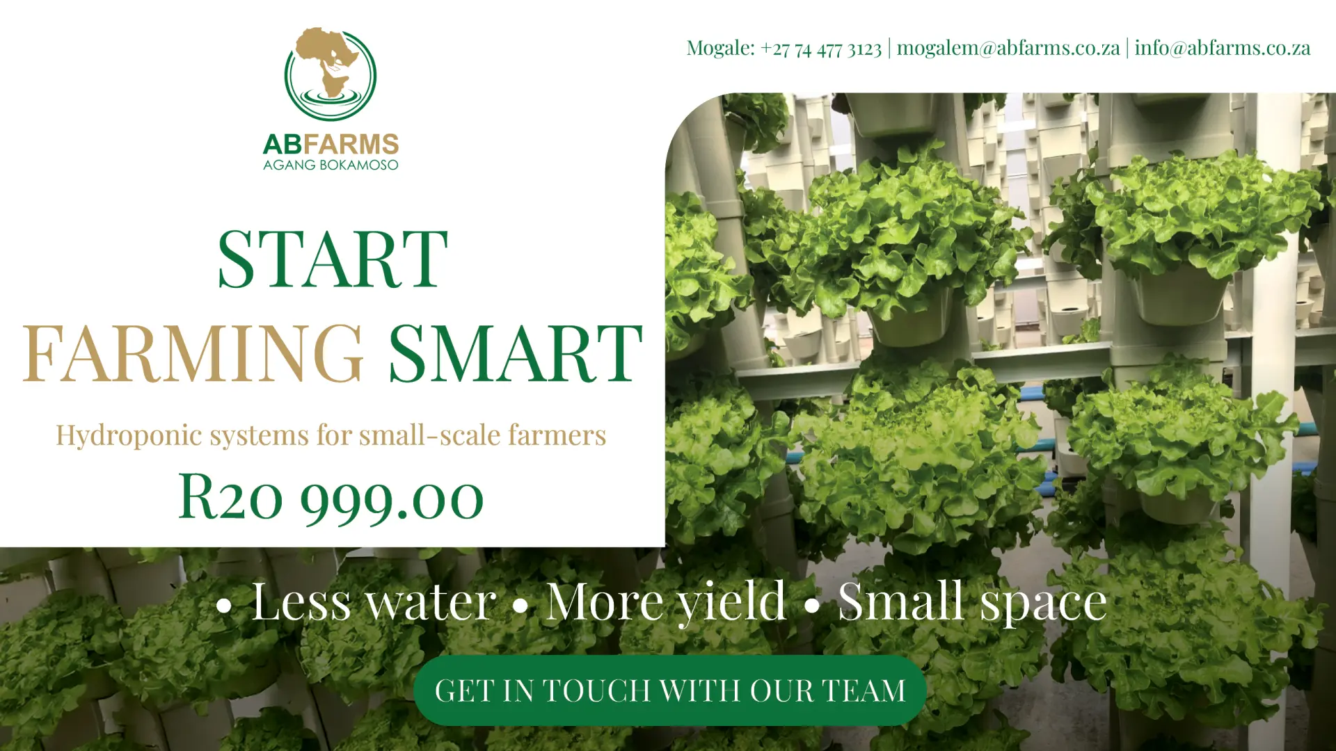Start farming smart: High-yield hydroponic systems for small spaces | AB Farms 