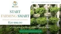 Start farming smart: High-yield hydroponic systems for small spaces | AB Farms 