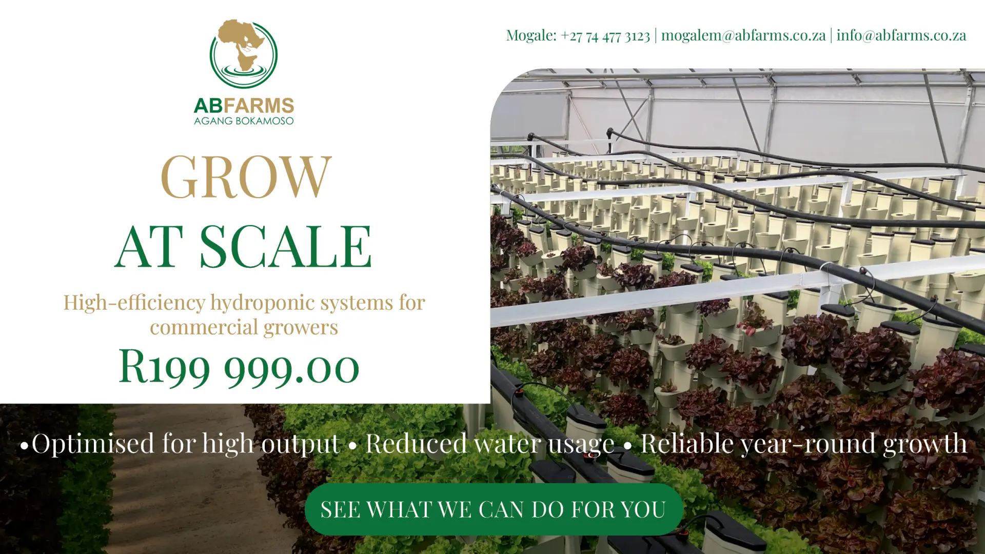 Commercial hydroponic systems | Reliable year-round growth with AB Farms