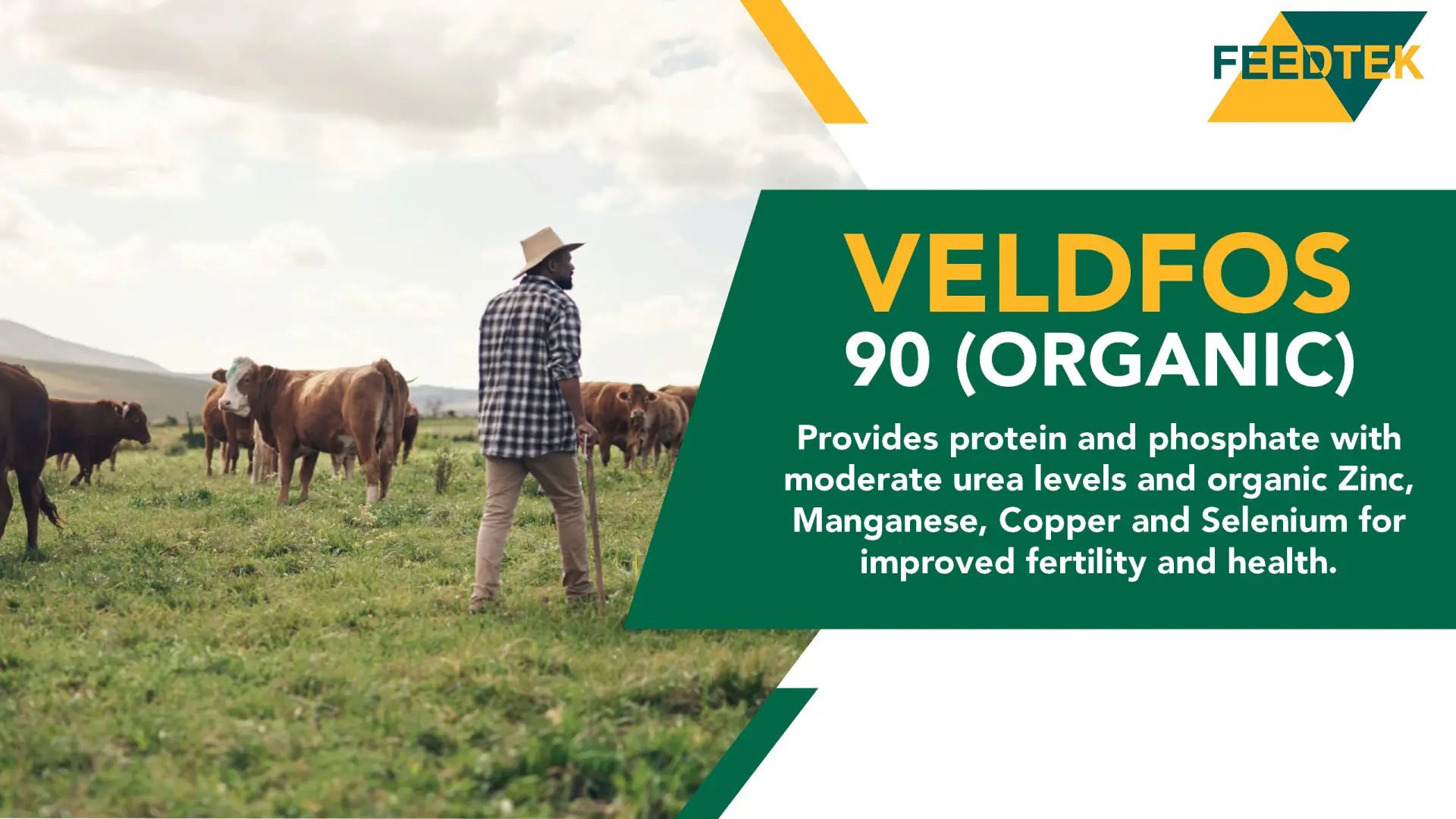 Boost fertility and health with Veldfos 90 (Organic) | Feedtek 