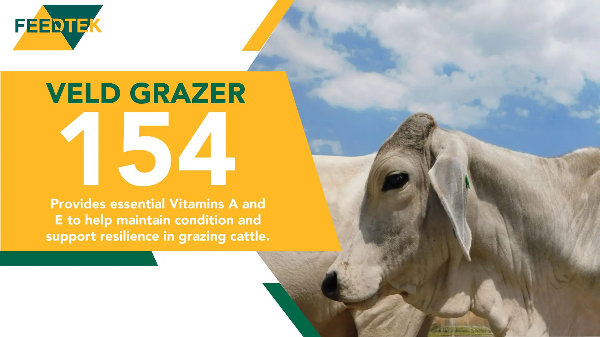 Maintain peak condition with Veld Grazer 154 | Feedtek 