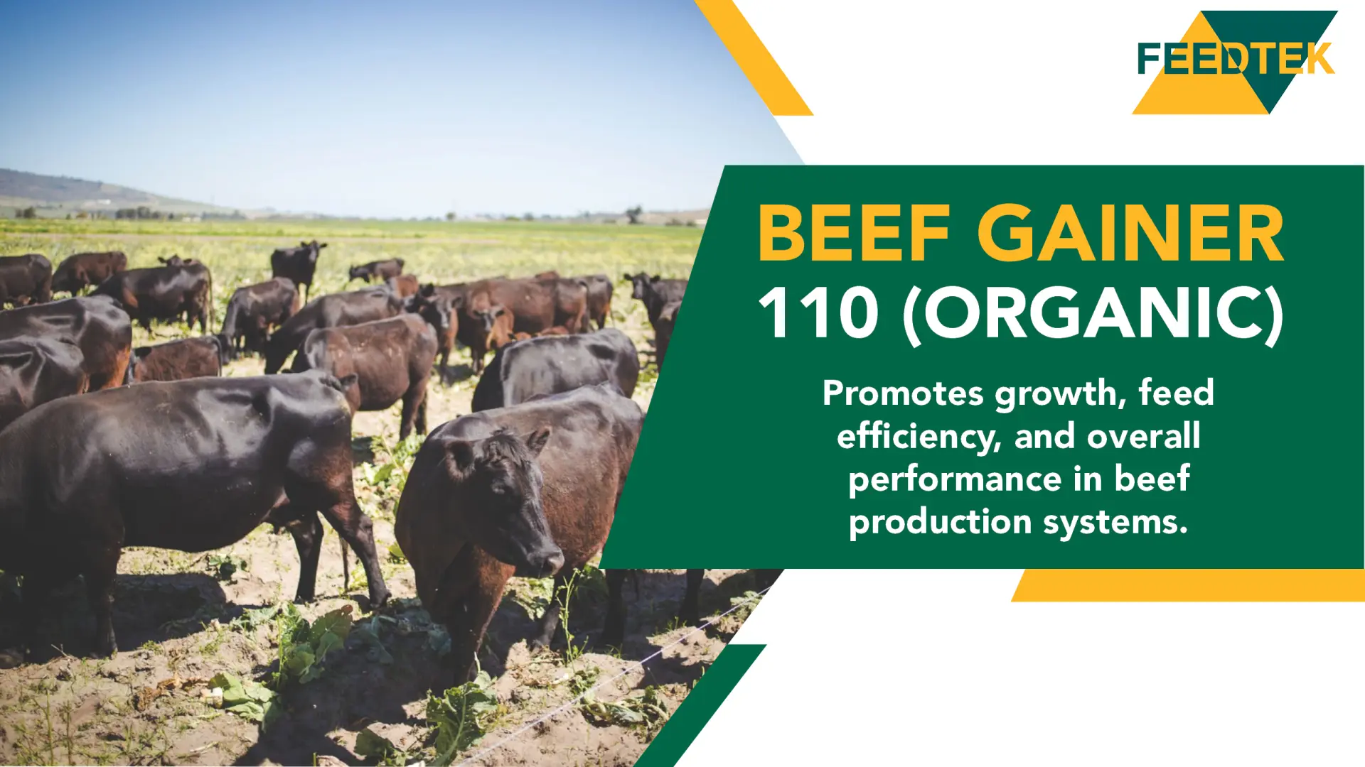Beef Gainer 110 (Organic): Feedtek Animal Feed Solutions is bringing the best in animal nutrition
