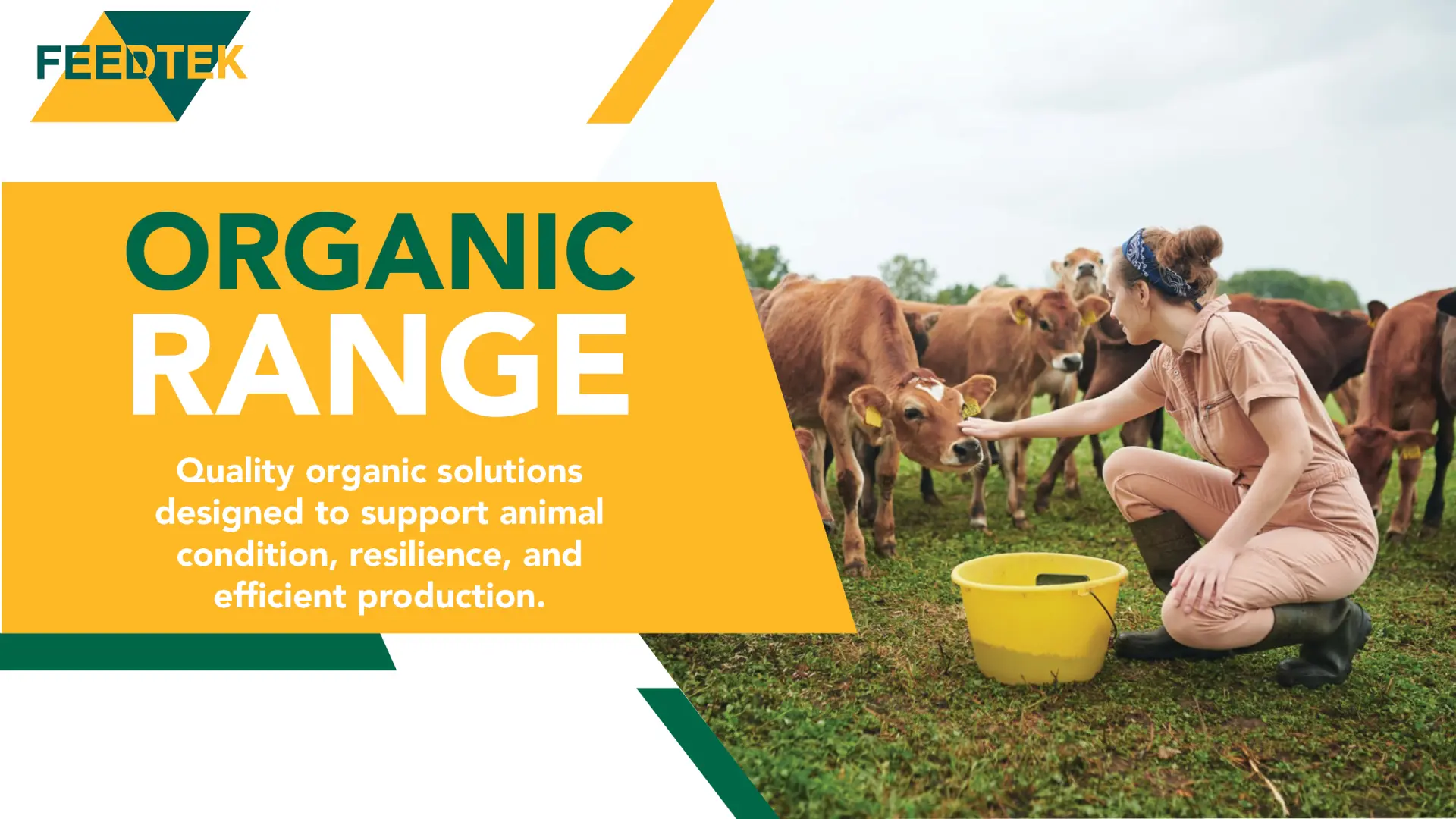 Elevate your herd with quality organic solutions | Feedtek 