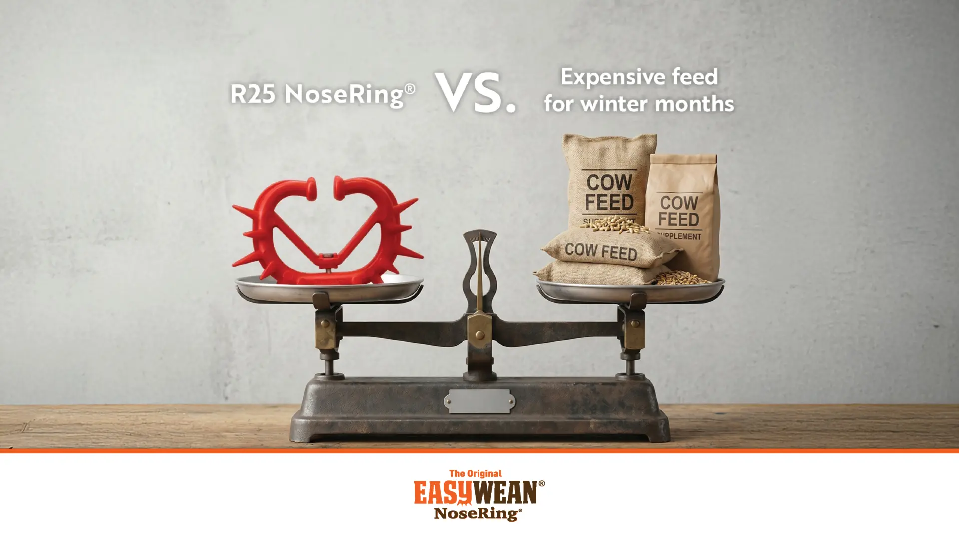 The Cost-Effective Alternative to Winter Feed | EASYWEAN® NoseRing®