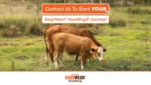 The First Step to Stress-Free Weaning | EASYWEAN® NoseRing®