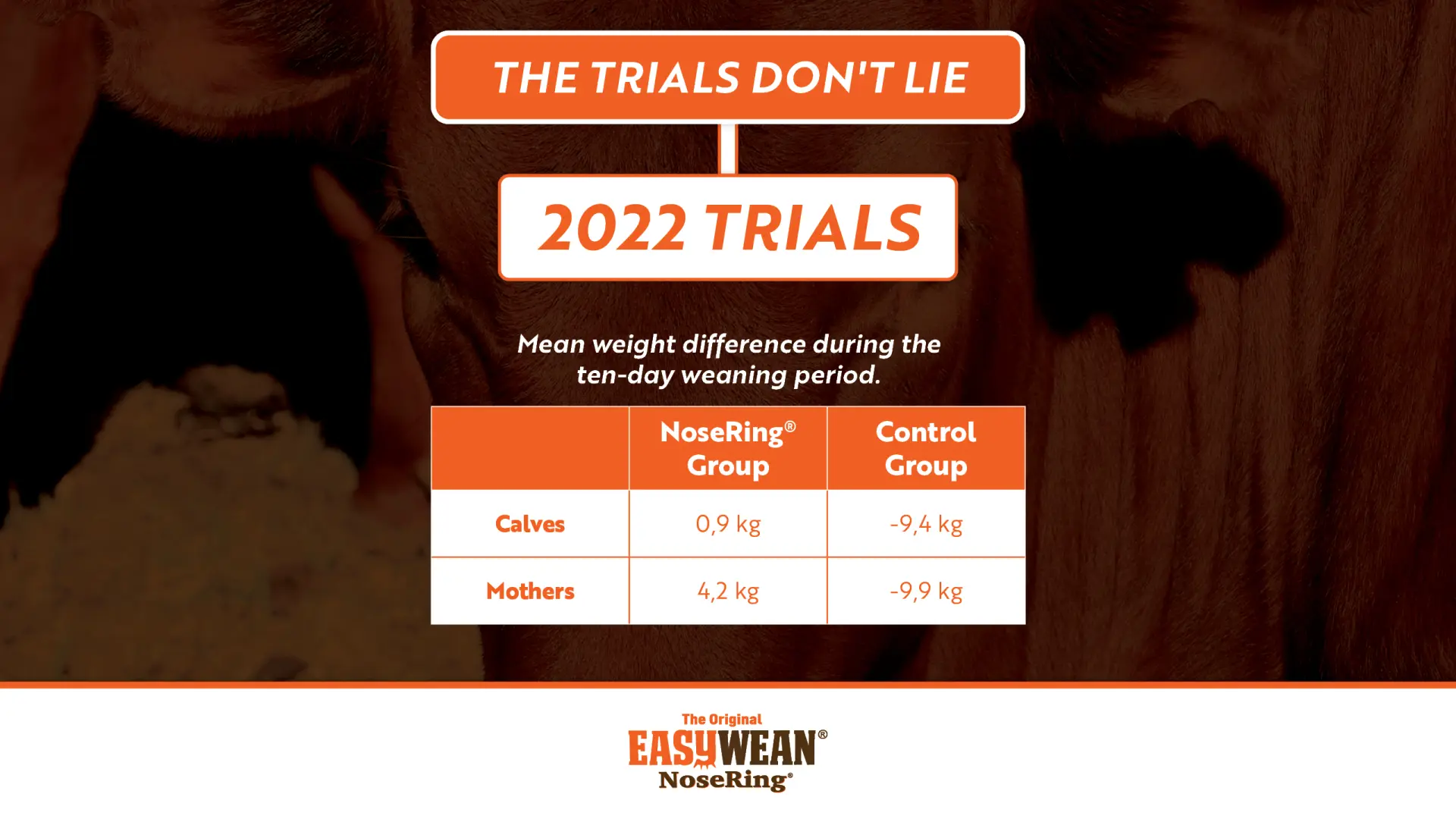 Weight difference during the ten-day weaning period! | EASYWEAN® NoseRing®