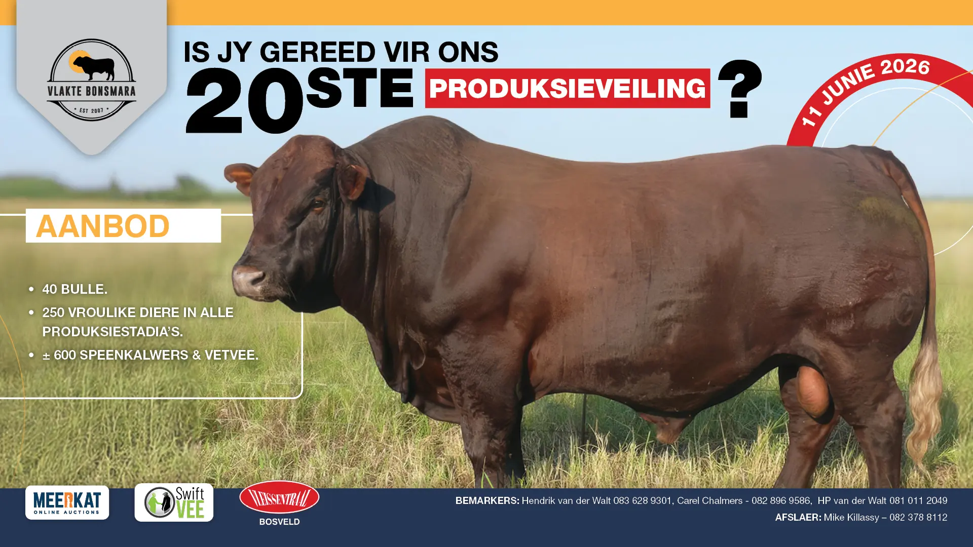 Moet nie die 20ste Vlakte Bonsmara Produksieveiling mis nie! | 11 Junie 2026 | Plaas Doornpan 