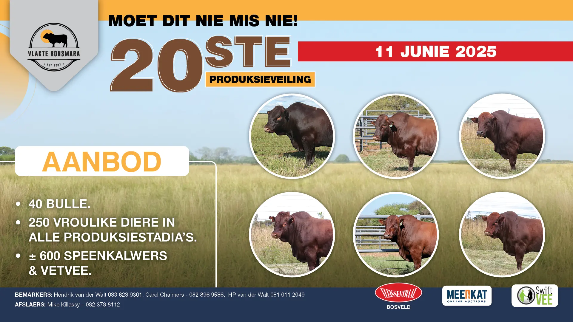 Moet nie die 20ste Vlakte Bonsmara Produksieveiling mis nie! | 11 Junie 2026 | Plaas Doornpan 