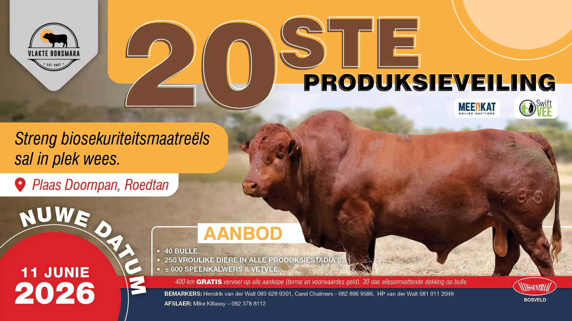 Nuwe datum vir Vlakte Bonsmara Studiegroep se 20ste produksieveiling | 11 Junie 2026