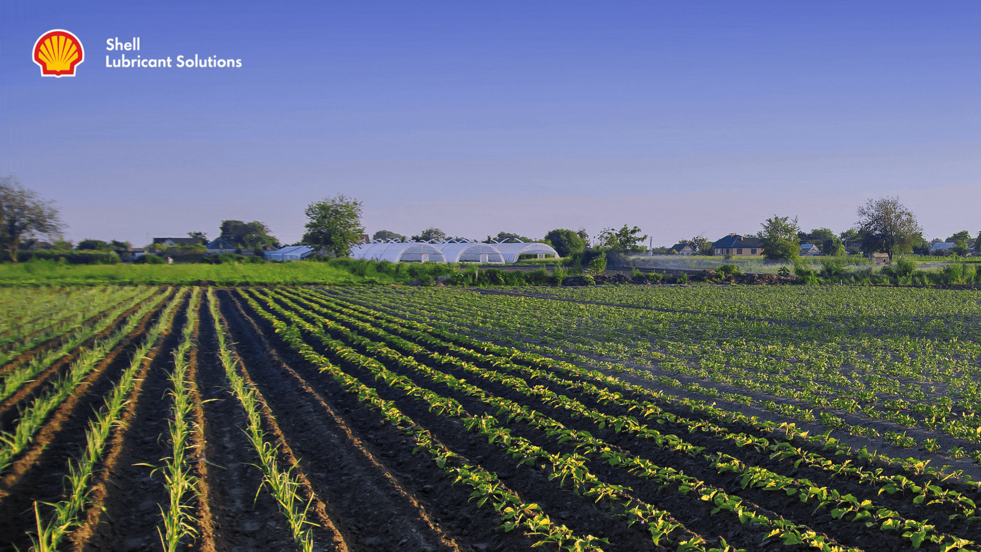 Professional lubricant solutions for modern farming landscapes | Shell Lubricant Solutions