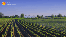 Professional lubricant solutions for modern farming landscapes | Shell Lubricant Solutions