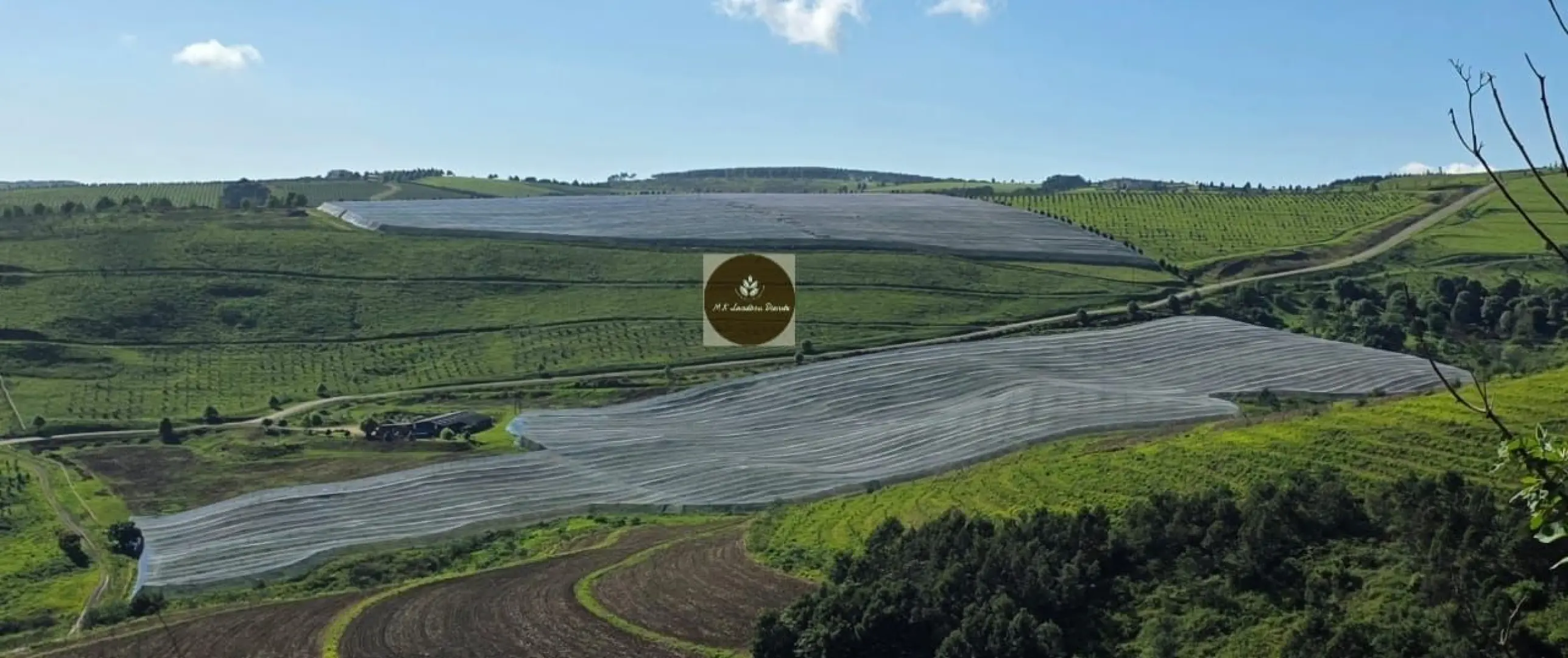 60 000m Shade net and 2400 4.2m poles for sale | MK Landbou Dienste