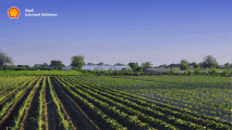 Shell Spirax solutions for sustainable farming growth | Shell Lubricant Solutions