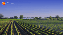 Professional protection for your farm equipment with Shell Gadus and Tellus | Shell Lubricant Solutions