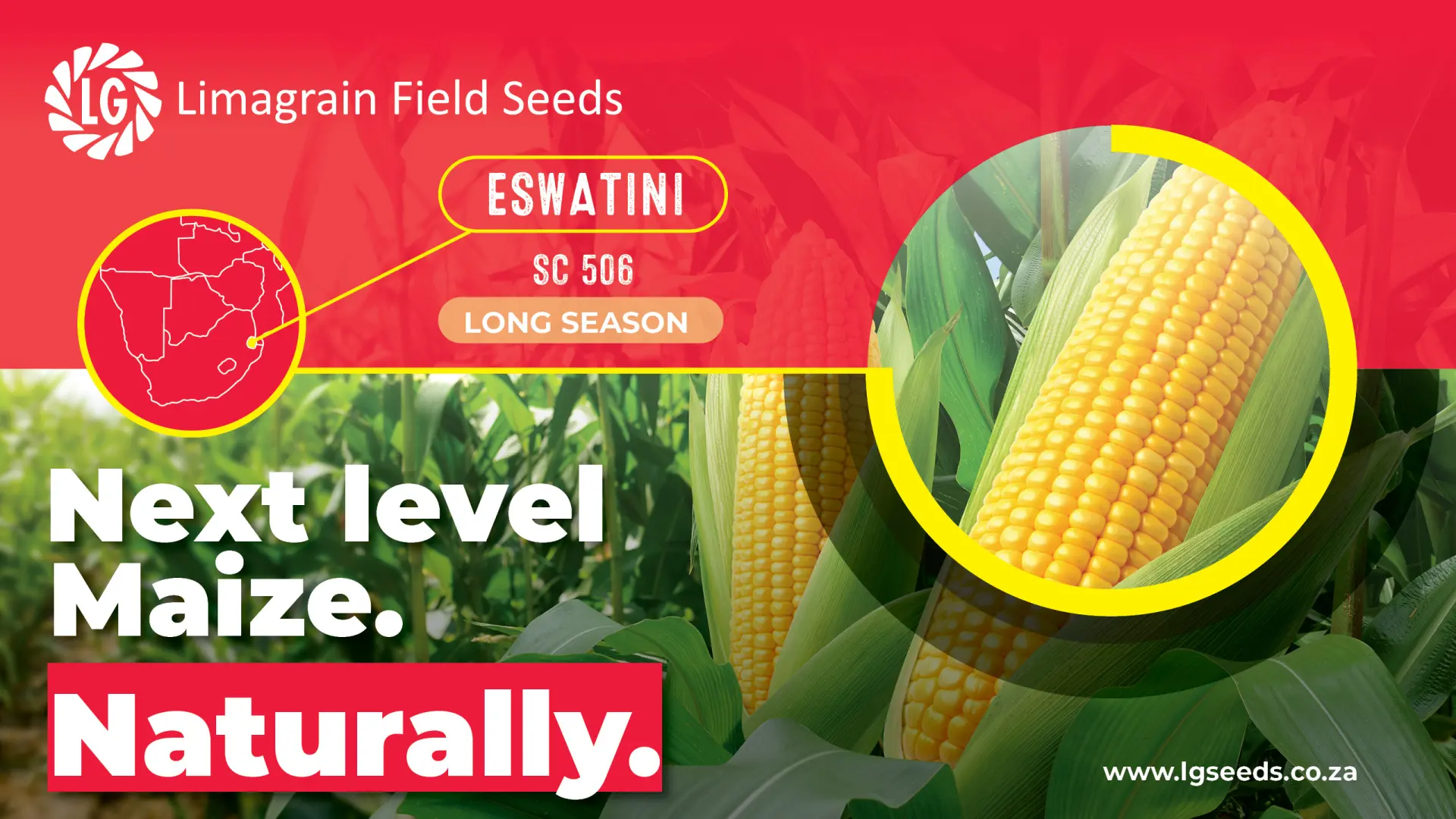 Limagrain Field Seeds | SC 506: The reliable choice for Eswatini growers