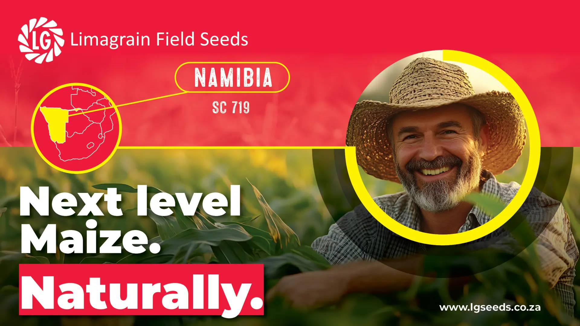 The genetic edge: Maximize your yield with SC 719 white maize | Limagrain Field Seeds