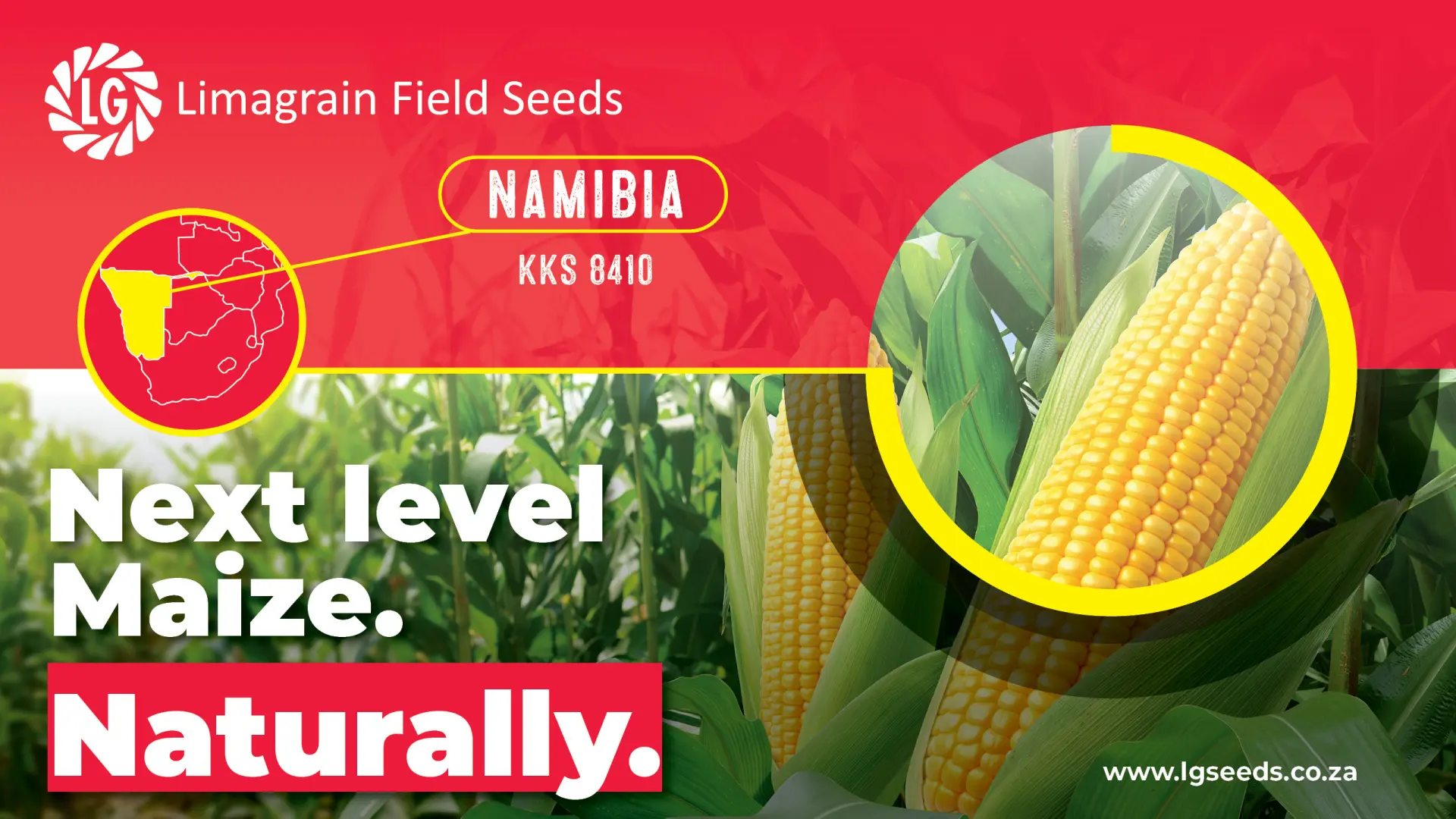 Drive your farm forward with the power of KKS 8410 | Limagrain Field Seeds