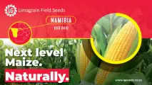 Drive your farm forward with the power of KKS 8410 | Limagrain Field Seeds
