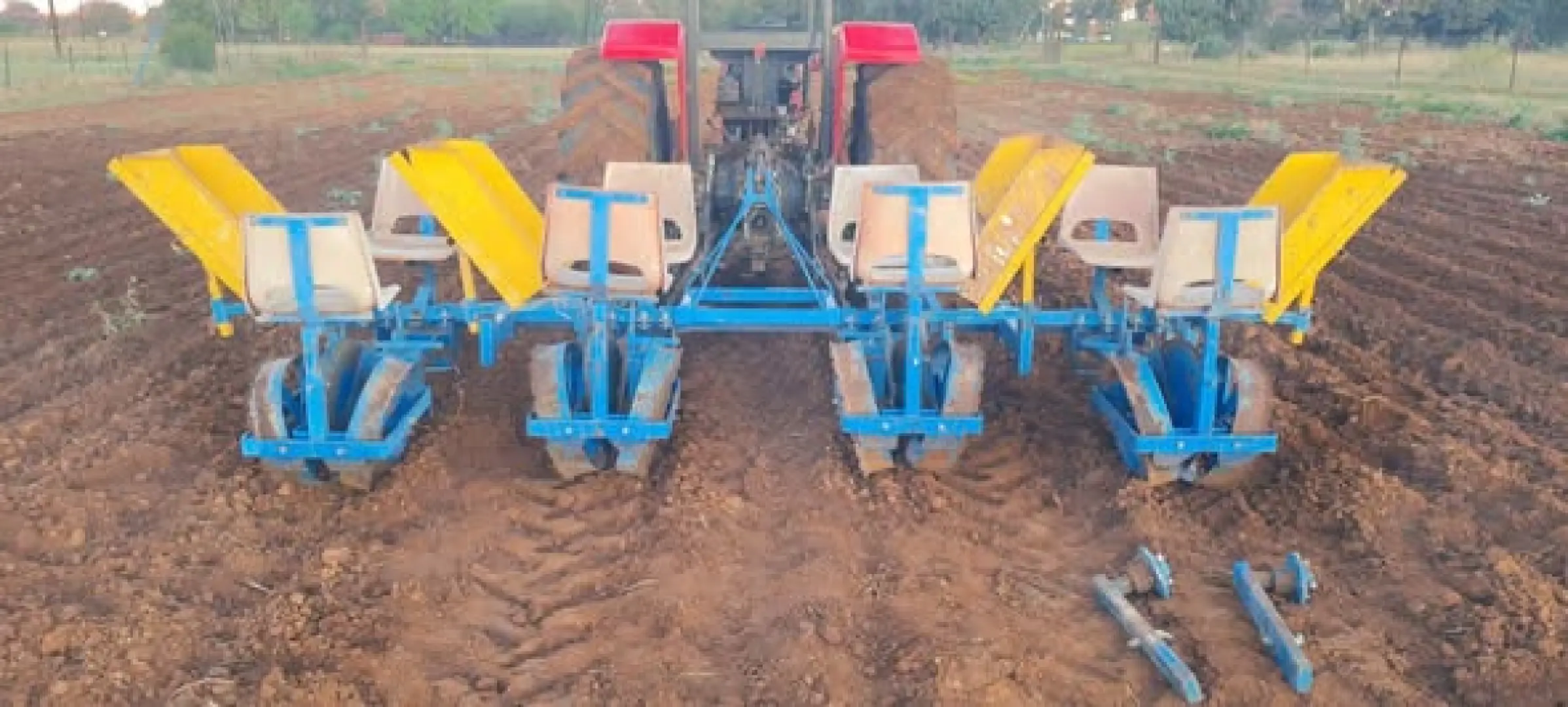 4ry groente plantjie planter | MK Landbou Dienste