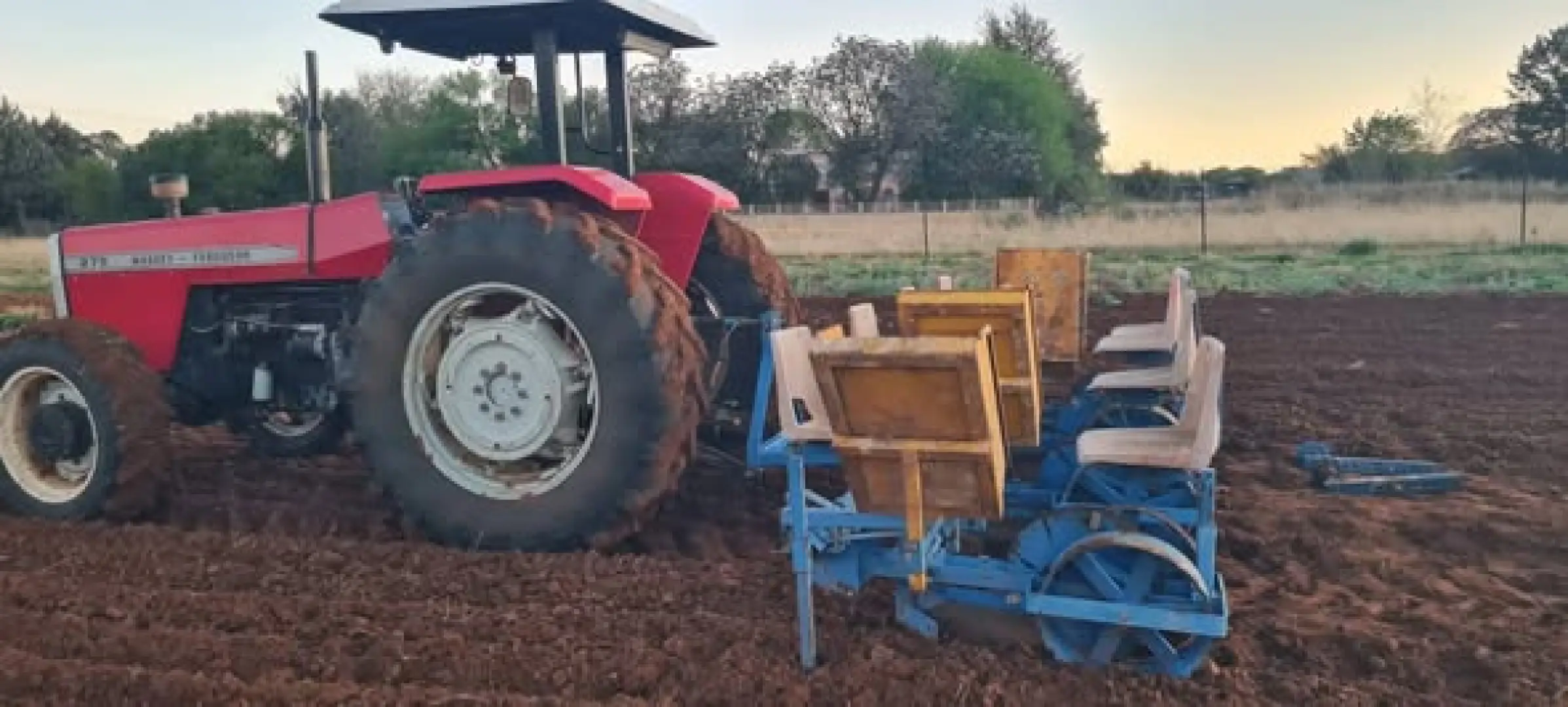 4ry groente plantjie planter | MK Landbou Dienste