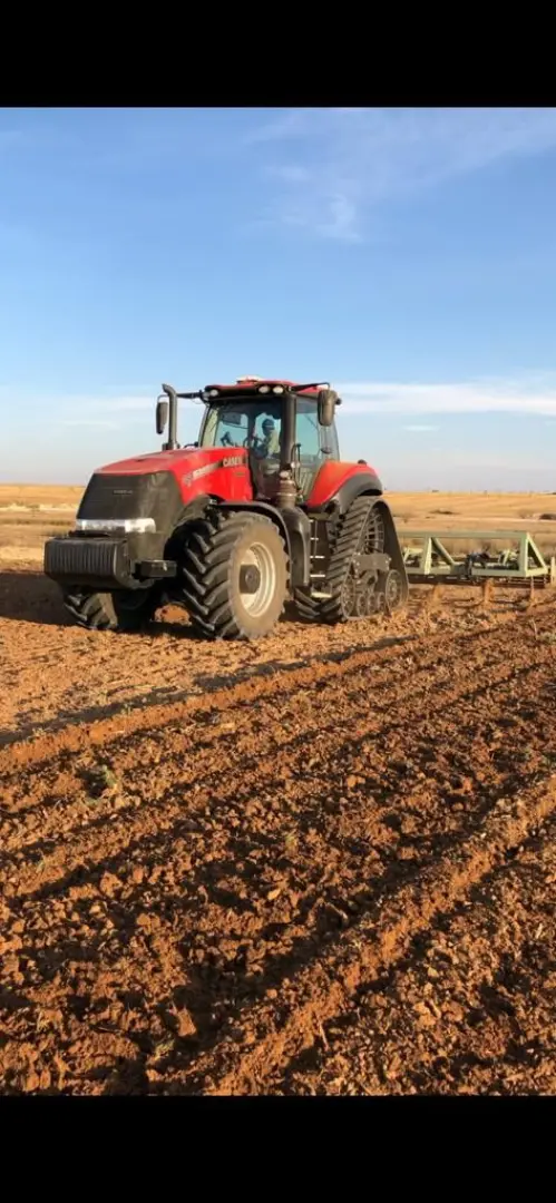 2016 Case Magnum 380 Rowtrack | QAC Equipment
