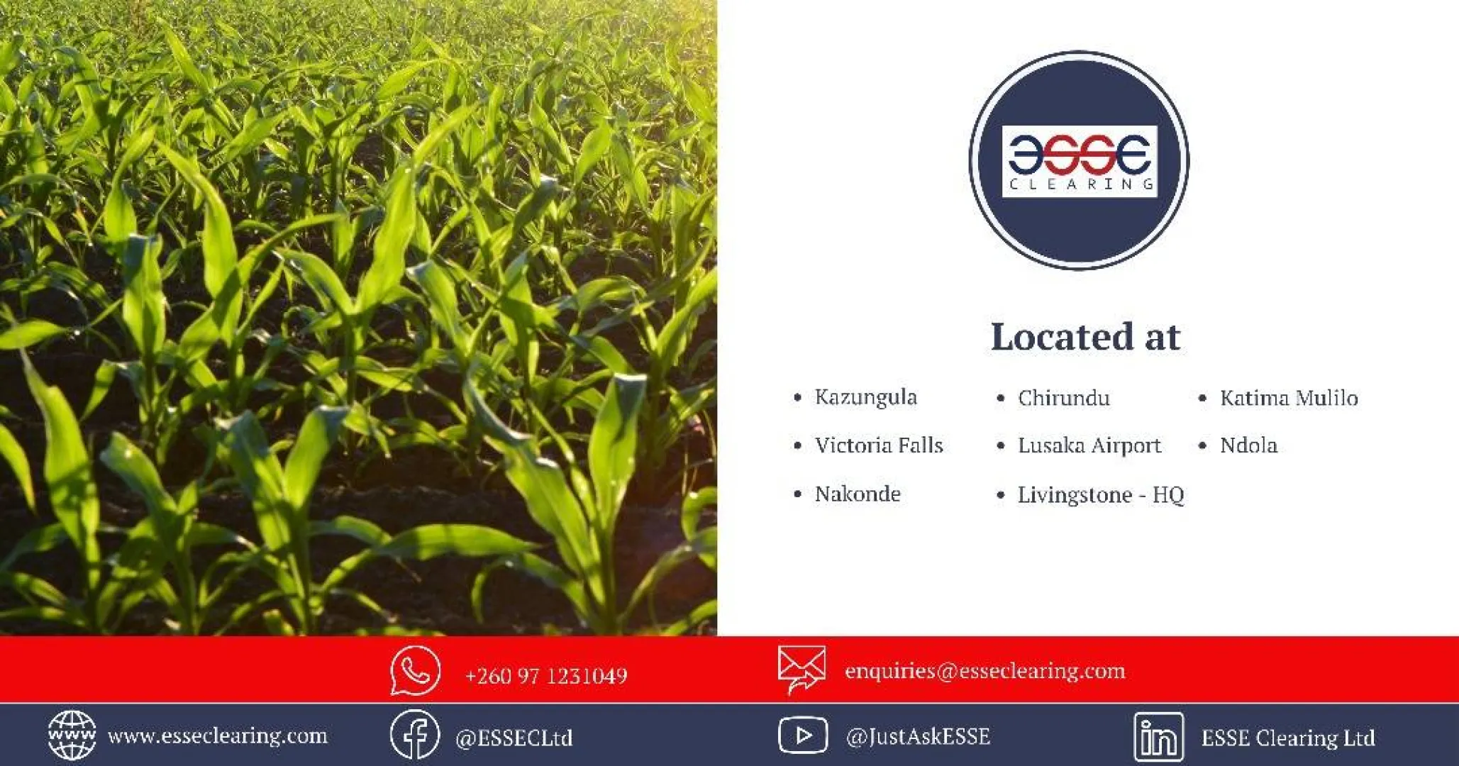 Exploring ESSE Clearing Ltd