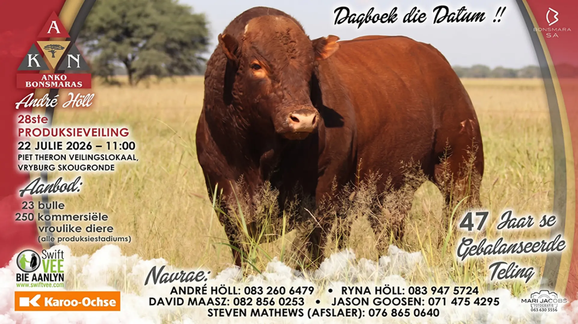 Dagboek die datum!! | Anko Bonsmaras se 28ste Produksieveiling | 22 Julie 2026 | 11:00 | Vryburg Skougronde