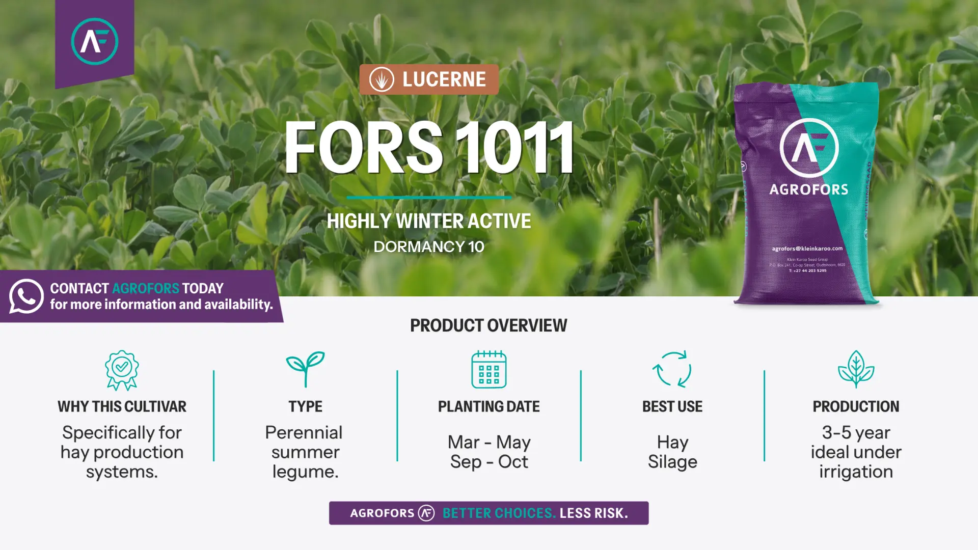 Lucerne | Fors 1011 | Highly winter active | Dormancy 10 | AgroFors