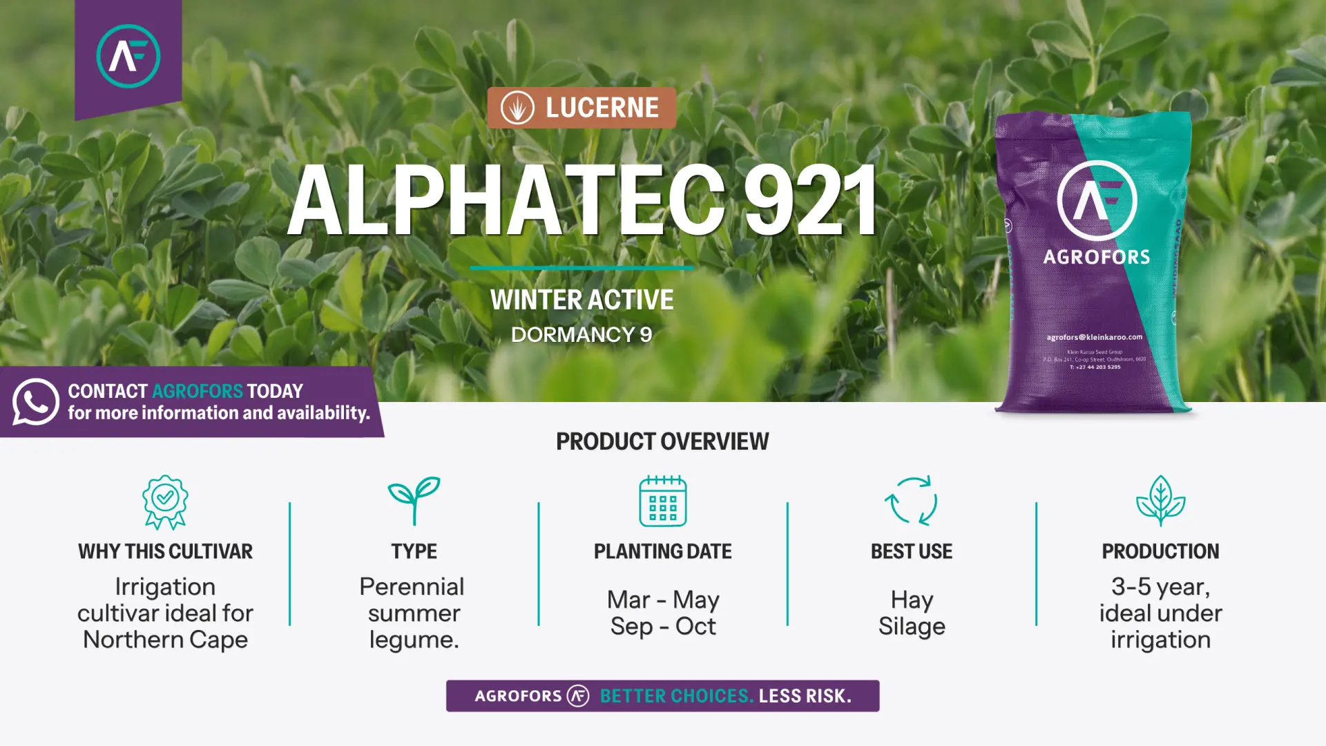 Lucerne | Alphatec 921 | Winter active | Dormancy 9 | AgroFors