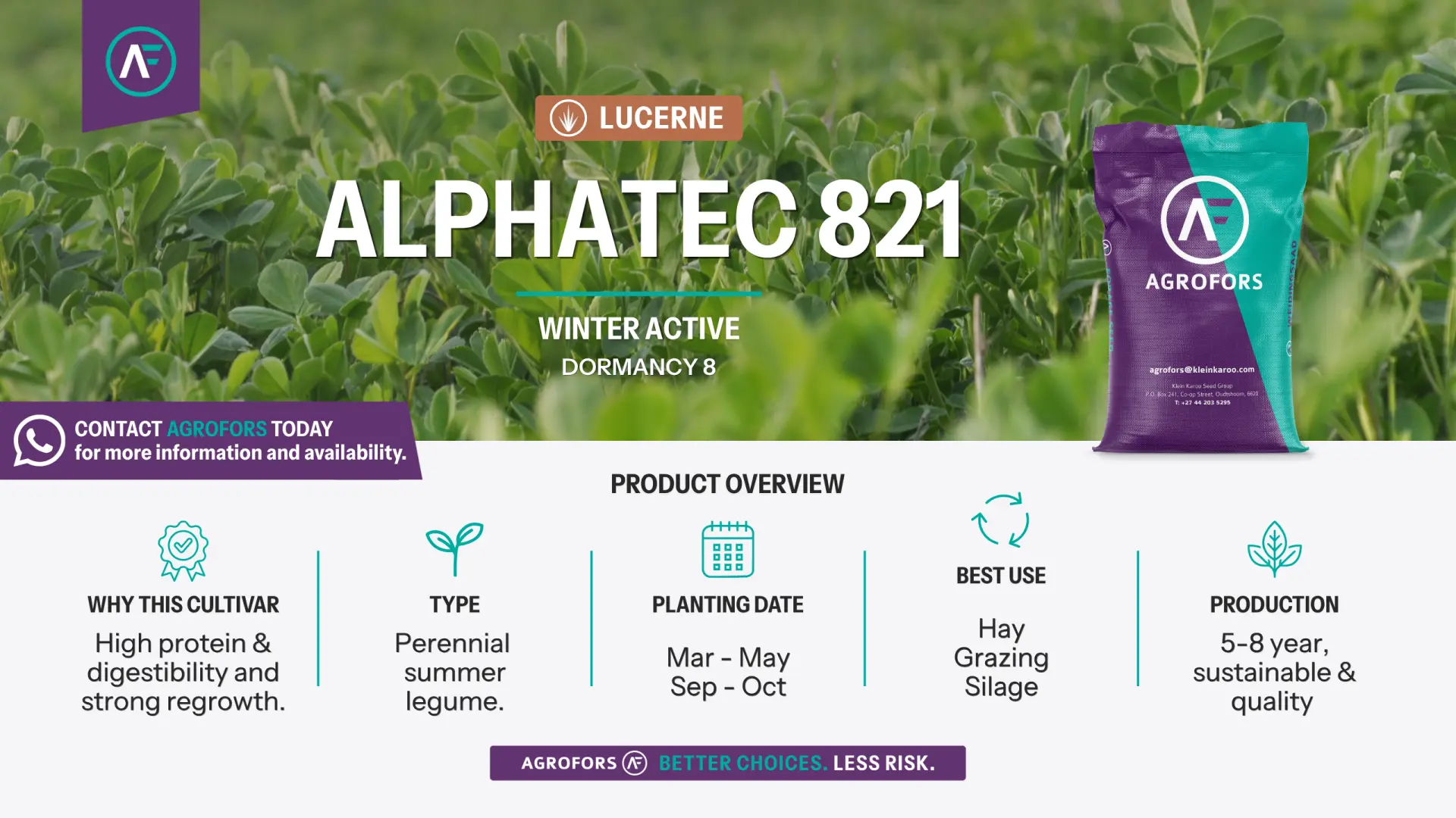 Lucerne | Alphatec 821 | Winter active | Dormancy 8 | AgroFors