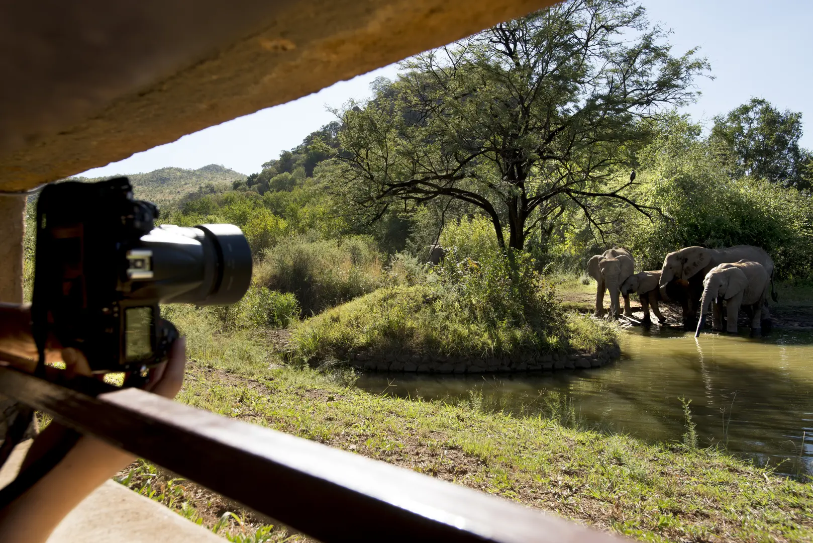 Kwa Maritane Bush Lodge (May 13, 2026 to Aug 31, 2026) | XL Boland Travel 