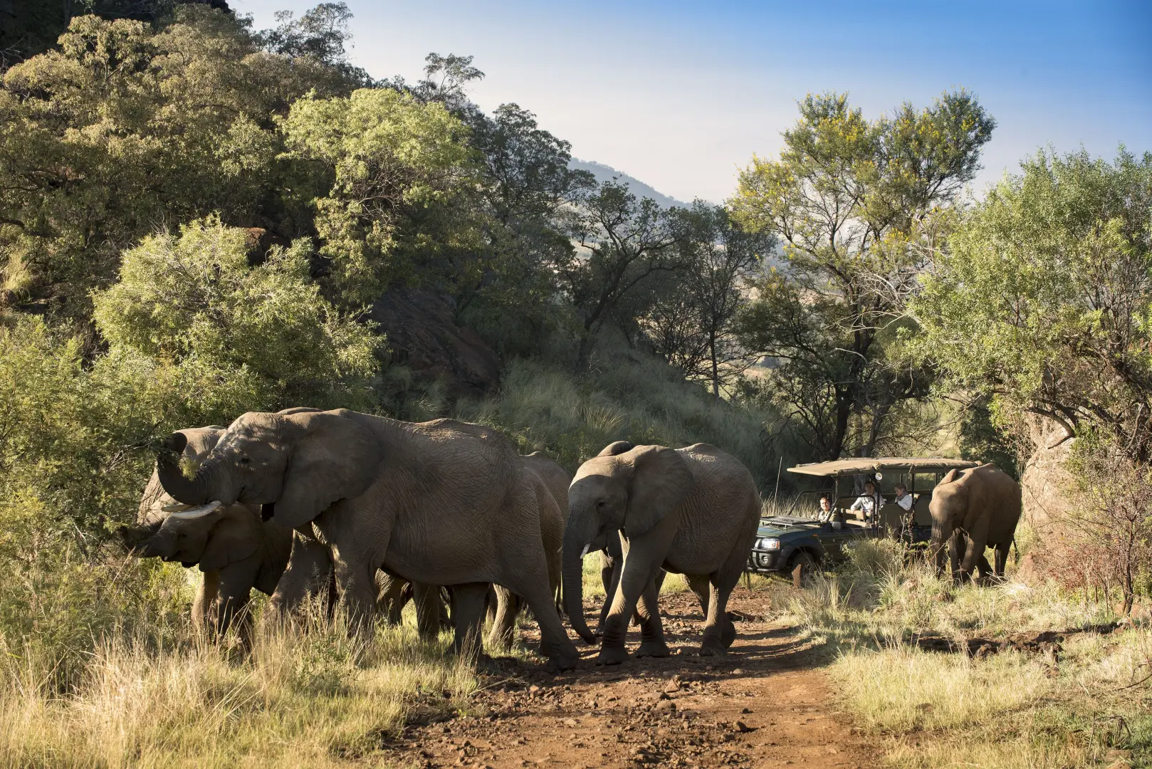 Kwa Maritane Bush Lodge (Jun 25, 2026 &amp; Jun 27, 2026) | XL Boland Travel 