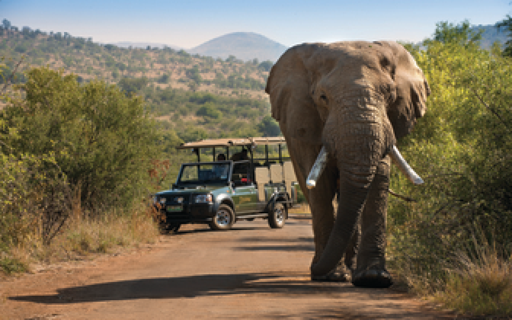 Bakubung Bush Lodge (Jun 25, 2026 &amp; Jun 27, 2026) | XL Boland Travel 