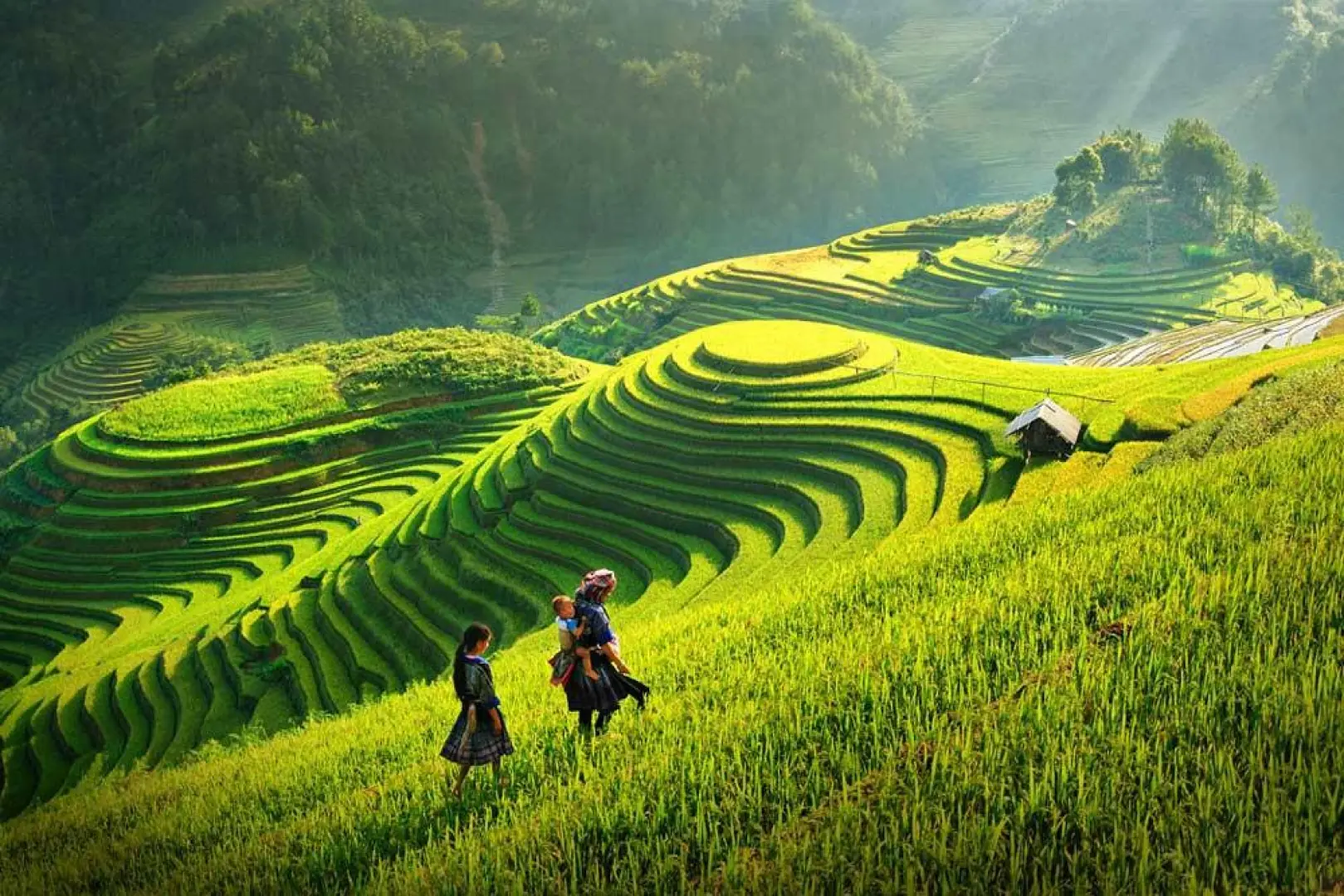 9 night North to South Vietnam Tour (May 1, 2026 to Oct 31, 2026) | XL Boland Travel 