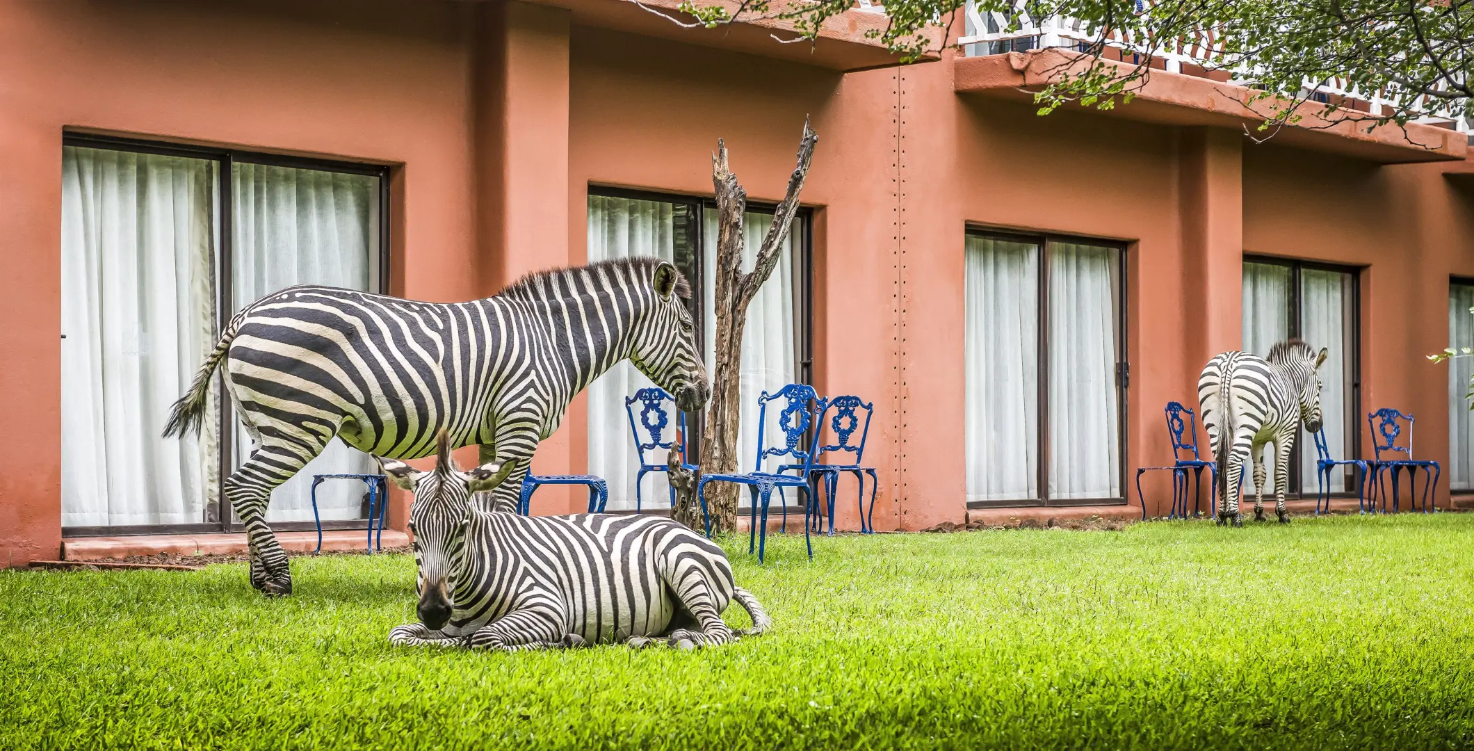 Avani Victoria Falls Resort (May 21, 2026 to Nov 1, 2026) | XL Boland Travel 