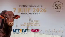 Steinberg Beefmasters Produksieveiling | 7 Julie 2026 | 11:00 | Mooiplaas, Hendrina 