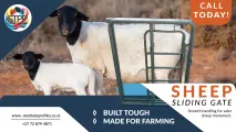 Sheep Sliding Gate | Smooth handling for safer sheep movement | Steel Tube & Pipe Profiles